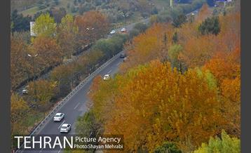 پاییز منطقه گردشگری اراضی عباس آباد 11