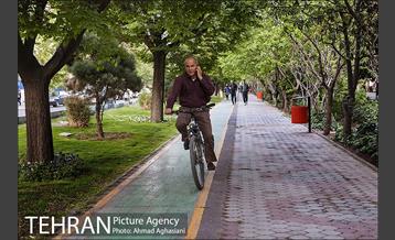 بلوار کشاورز 36