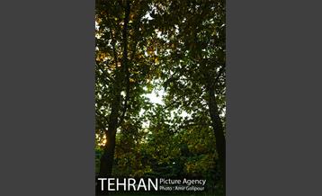 بوستان گفتگو‎ 3