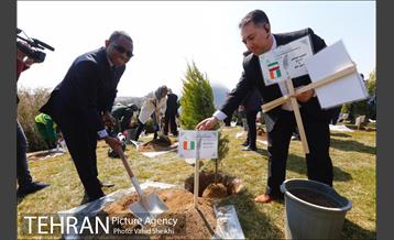 آیین کاشت درخت صلح و دوستی 33