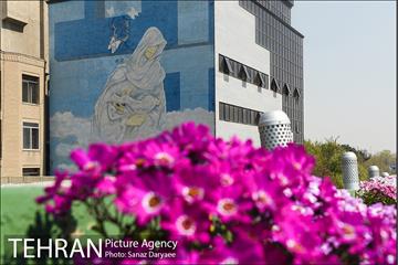 گل آرایی پل سیدخندان 27