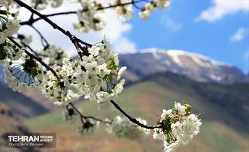 طبیعت بهاری روستای سنگان 11