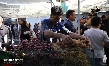 افتتاح ۲ بازار میوه و تره‌بار در تهران 8