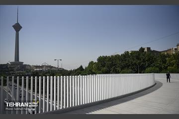 پل تندرستی 12