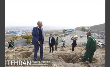 بازدید شهردار تهران از پروژه درختکاری کمربند سبز تهران  8
