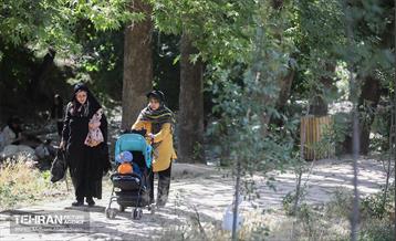 همایش پیاده روی خانوادگی در رود دره فرحزاد 41