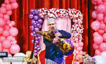 جشن ازدواج ساده 2