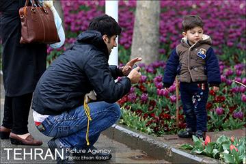 جشنواره لاله‌ها در بوستان زندگی محله هرندی 13