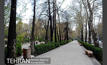 بوستان نیاوران 32