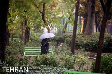 بارش باران پاییزی در تهران- 2