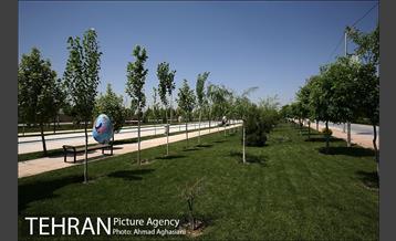 آماده سازی شهرآفتاب برای برگزاری نمایشگاه بین المللی کتاب 7