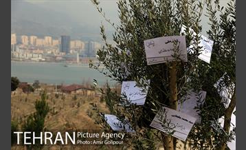 آیین کاشت درخت دانش در بوستان جنگلی چیتگر 45