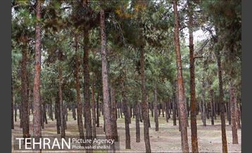 پارک ملی سرخه‌حصار 19