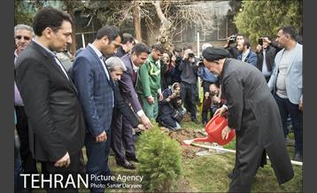 آیین کاشت " درخت فرهنگ و هنر و رسانه"  34