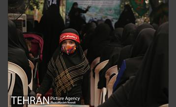 زیر آسمان روضه 14