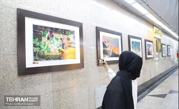افتتاح نمایشگاه عکس ویتنام در ایستگاه مترو تجریش 16