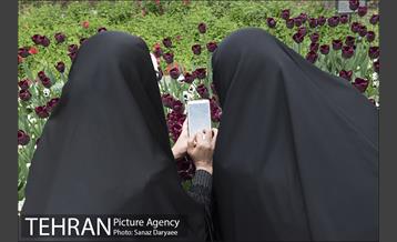 بوستان باغ ایرانی 24