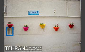 کوچه امیدی رنگ نوروز گرفت 4