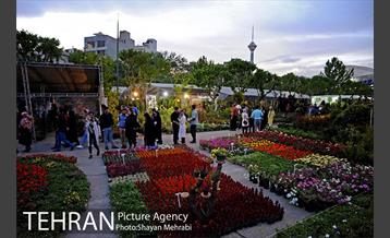 نمایشگاه گل و گیاه در بوستان گفتگو 3