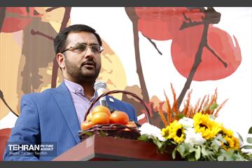 پنجمین جشنواره خرمالوی کن 16