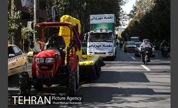 کاروان گل و موسیقی 13