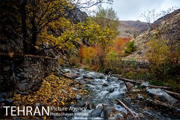 طبیعت پاییزی روستای سنگان 30