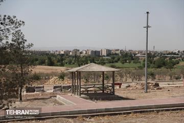 اینجا کارگاهه؛ پروژه بام ری 78