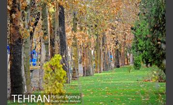 پاییز در پارک شهر 23