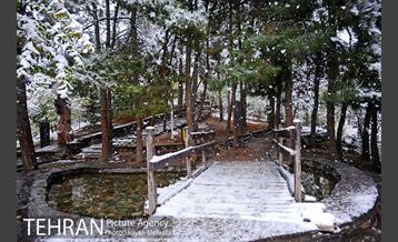 بارش برف پاییزی در بوستان طالقانی 39