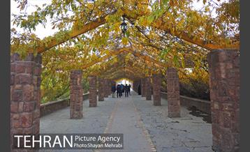 پاییز منطقه گردشگری اراضی عباس آباد 1