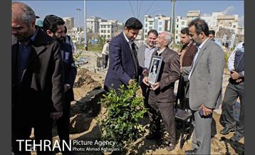 روز درختکاری در بوستان تبسم 11