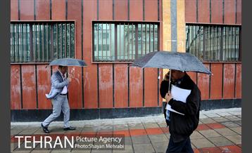 بارش باران بهاری در تهران  6