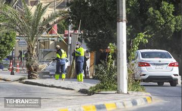 حضور نیروهای خادم الحسین(ع) در نجف اشرف 7