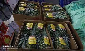 تره‌بار یلدایی 57