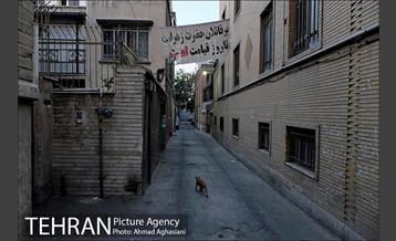 عبور از گذر مستوفی 16