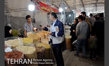 نمایشگاه بهاره در بوستان ولایت 12