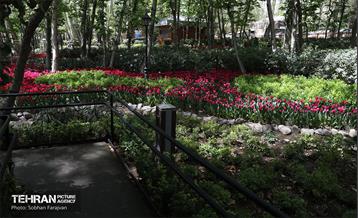باغ ایرانی میزبان لاله‌ها 23