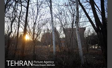 فراموش شدگان اداره منابع طبیعی در بوستان چیتگر 23