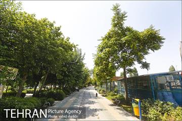 بوستان المهدی 11