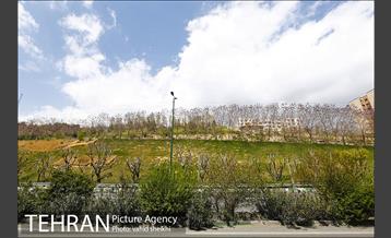 روز طبیعت متفاوت در شهر تهران 2 8