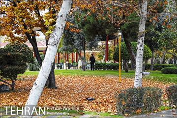 پاییز در بوستان رازی 15