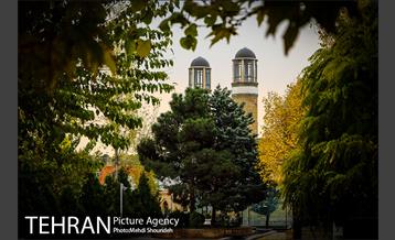 باغ موزه قصر 14