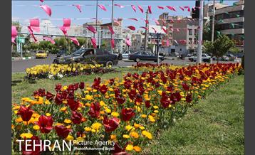 لاله آرایی در منطقه 20