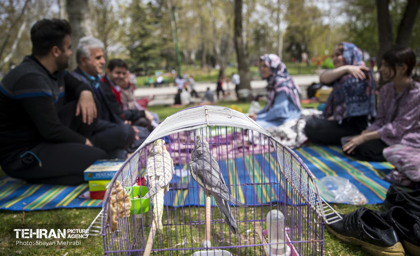 روز طبیعت در بوستان ملت 12