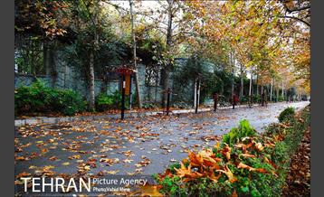 پاییز در بوستان رازی 6