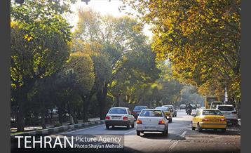 طبیعت پاییزی بلوار کشاورز 12