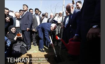 آیین کاشت درخت صلح و دوستی 35