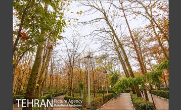 سمفونی برگ های پاییزی 3