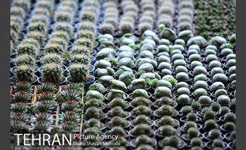 نمایشگاه بین المللی گل و گیاه 17