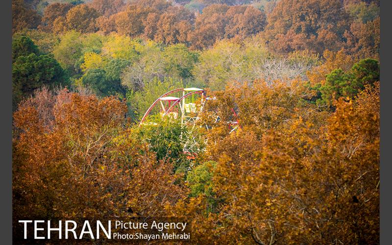 حديقة الخريف سيتي